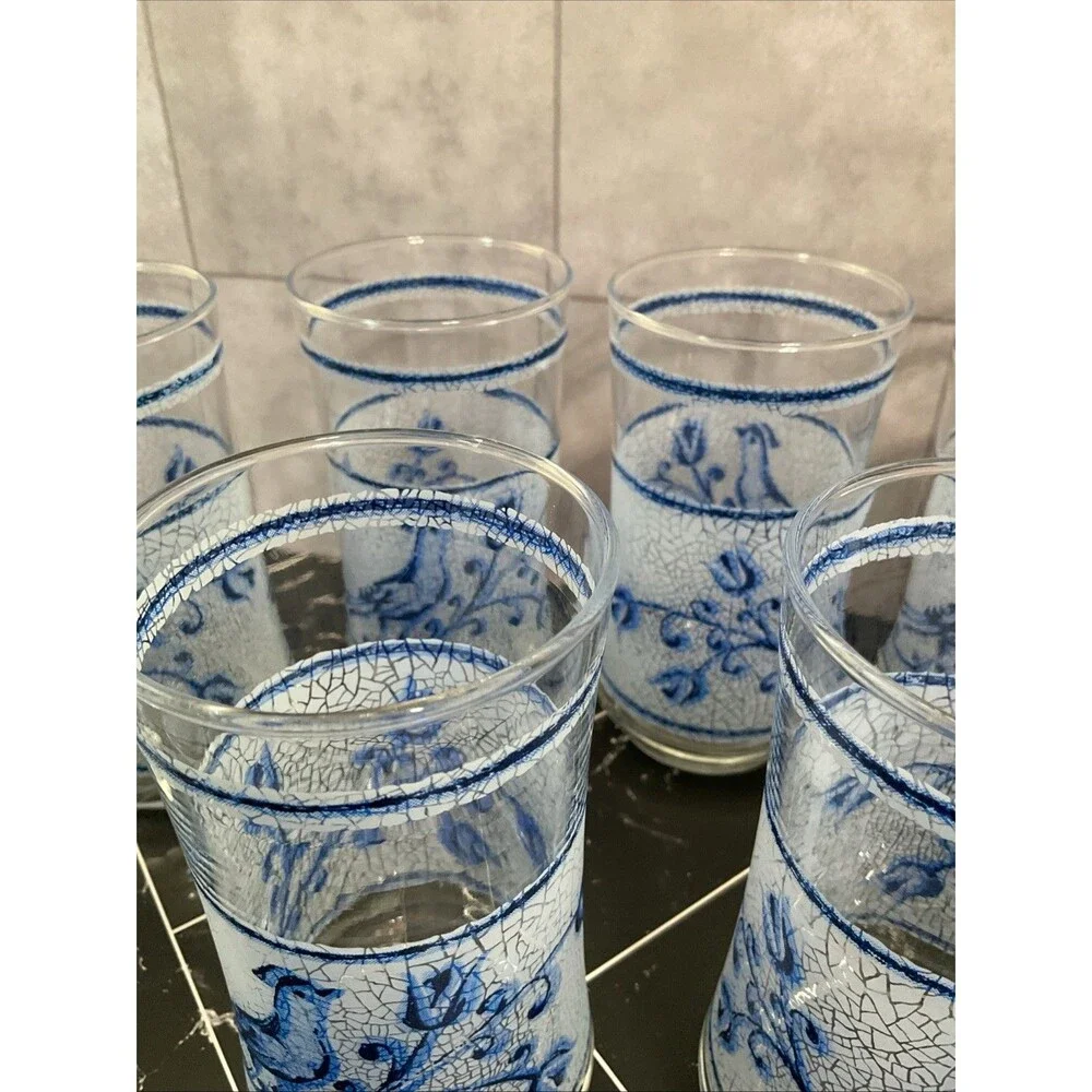 Libbey 10 oz glasses Frosted Blue bird and flower 5.25” X 2.50” Set of 11